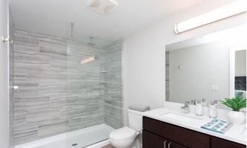 Walk-in, European-style, Tile Showers in Master Suites